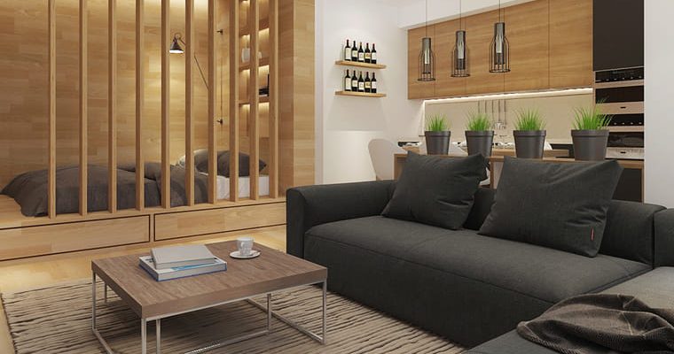 Jak účelně zařídit 1-pokojový byt 1