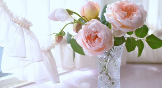 Červen patří královnám květů 1