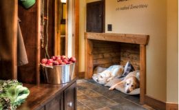 Pes v domácnosti - domek lepší než pelíšek 24