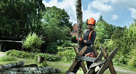 Jak si správně vybrat řetězovou pilu 5