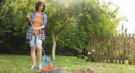Dokonalé spojení nejen na podzimní práce na zahradě 4