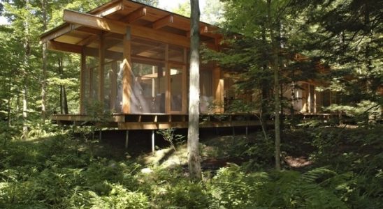 Moderní dřevěnice 5