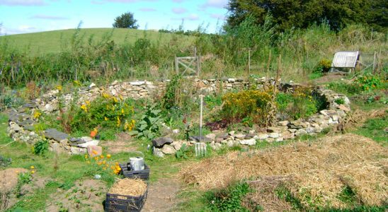 Jak zahradničit ekologicky 10