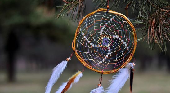 Máte svůj lapač snů? 5