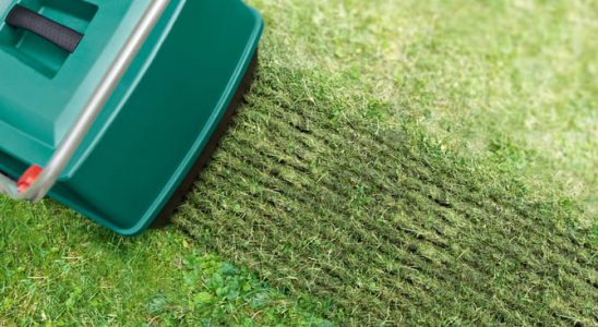 Odstraňte travní plsť provzdušňováním trávníku 4