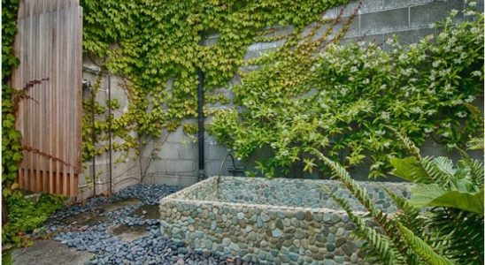 Co s ošklivou zdí v zahradě 5