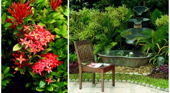 Jak využít okrasnou zahradu na maximum 9