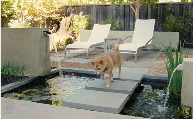 Tipy na vylepšení zahrady 1