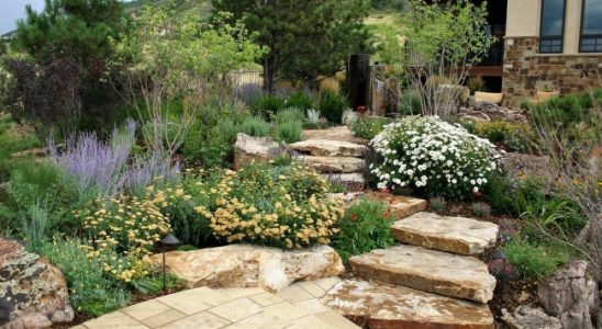 Tráva je nuda! Zahrada nabízí více možností 10