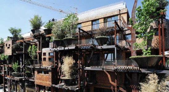 Stromový dům ze 150 rostlin 10