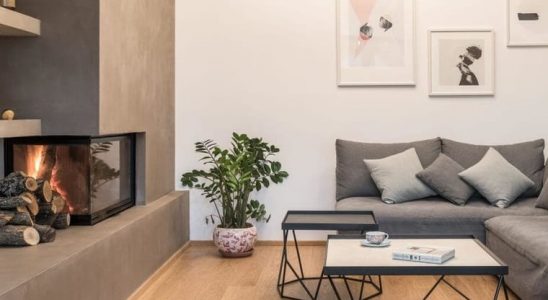 Bydlení s dávkou skandinávského designu i moderny 10