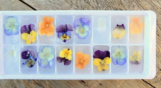 Chcete mít hezké ledové kostky? 8