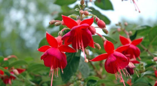 Trio do stínu: Vyberte si tu svou 8