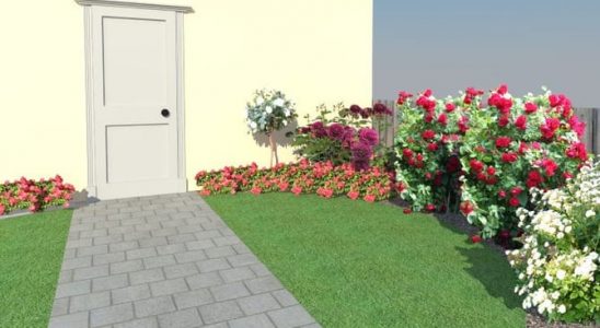 Voňavá předzahrádka: Vítejte v růžovém království 4