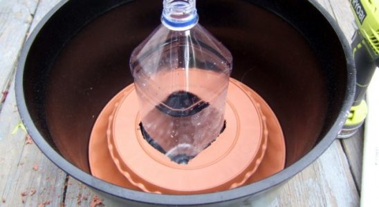 Pokojové rostliny během dovolené: se vaše květiny polijí sami 1