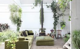 Bydlení jako v botanickém skleníku: Více rostlin jako nábytku 25