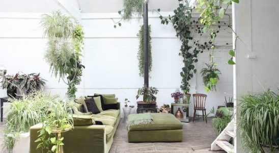 Bydlení jako v botanickém skleníku: Více rostlin jako nábytku 9