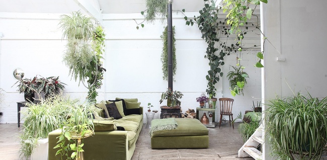 Bydlení jako v botanickém skleníku: Více rostlin jako nábytku 1