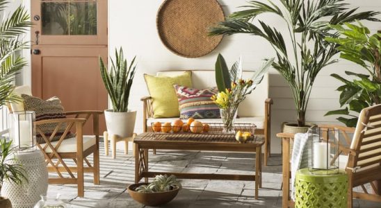 Nejlepší pokojovka do každé místnosti: ložnice, koupelna, jídelna 10