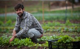 Vysévejte zeleninu i na konci léta 28