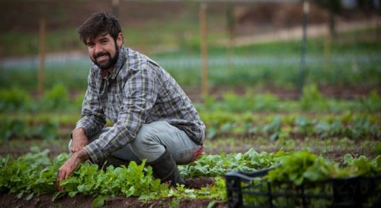 Vysévejte zeleninu i na konci léta 8