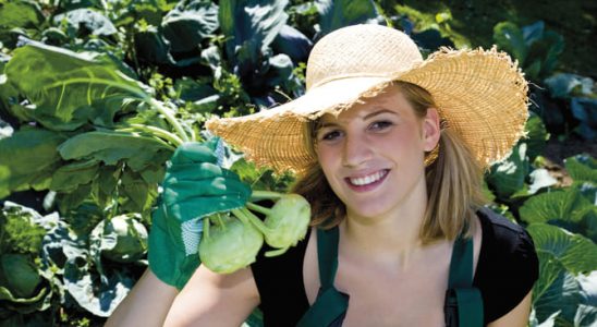 Co dělat, aby kedluben nedřevnatěl? 2