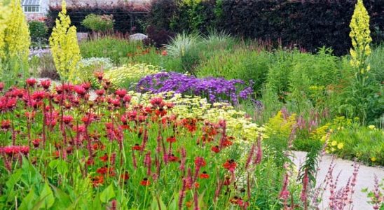 Nezapomeňte na trvalky! Ošetřete je, ať jsou ve formě 4