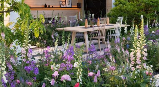Tipy jak pečovat o rozkvetlou květinovou zahradu 2