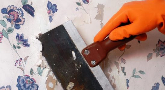 Rady nad zlato: 3 jednoduché kroky jak odstranit starou tapetu! 1