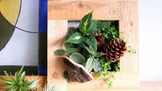 Bylinky v rámečku: Oživte si kuchyň kouskem zeleně 7