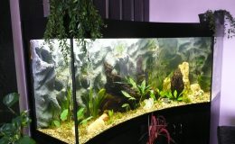 Designové akvárium pro odbourání stresového onemocnění 24