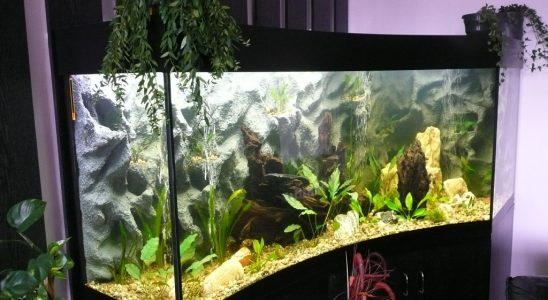 Designové akvárium pro odbourání stresového onemocnění 2