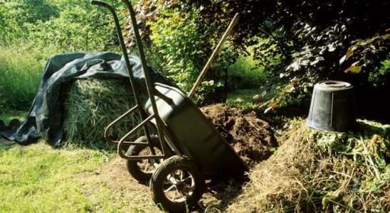 Kompost je černé zlato zahrádkáře: Co můžete kompostovat? 9