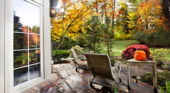 5 největších zahradních trendů, které dostanete na podzim 10