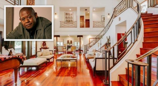 Hvězda dramatických filmových postav prodává své bydlení 8