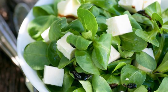 Polníček: vitamíny nabité lístky nekupujte, dopěstujte si je 7