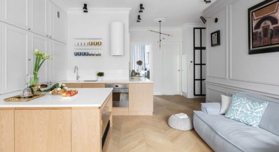 Svěží, elegantní bydlení s nádechem Paříže uprostřed krásné Varšavy 3
