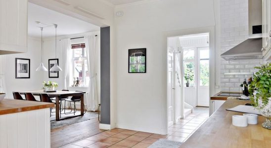 Víte, jak si udržet svůj domov svěží a voňavý? Takto! 3