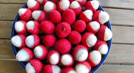 Oblíbili jste si exotické liči? Podívejte se, jak roste a co nabízí pro zdraví 10