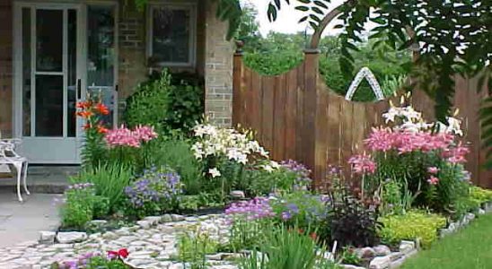 Okrasné rostliny v zahradě 7