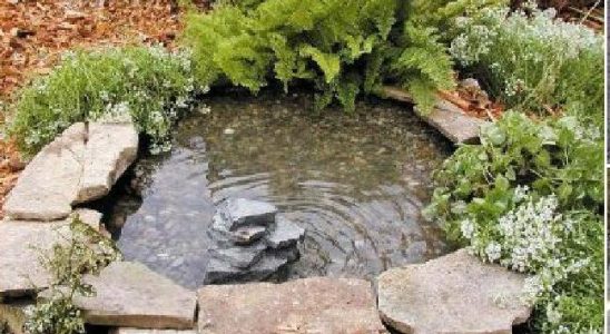 Návod na založení zahradního jezírka 3