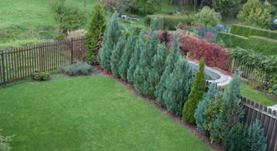 Po zimě potřebuje péči i trávník 4