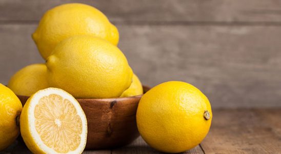 Všestranný citron 10