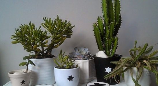 Líbí se vám severský styl? Máme pro vás TOP 5 pokojovek 1