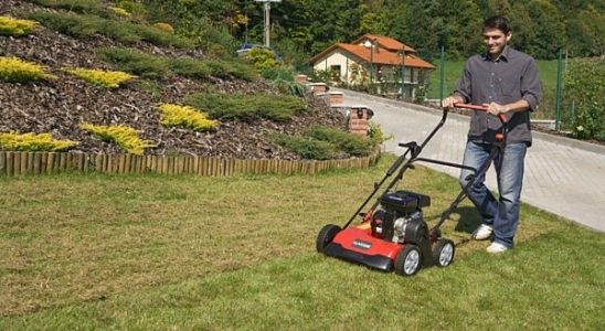 Robotické sekačky – luxusní hračka nebo opravdu užitečný pomocník? 2