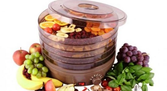 Na co si dát pozor při sušení ovoce a jeho skladování 1