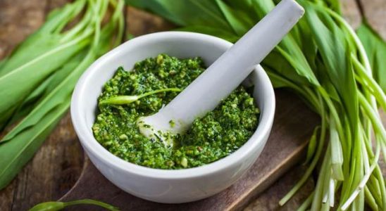 Medvědí česnek – pěstování, význam pro naše zdraví a použití v kuchyni 6