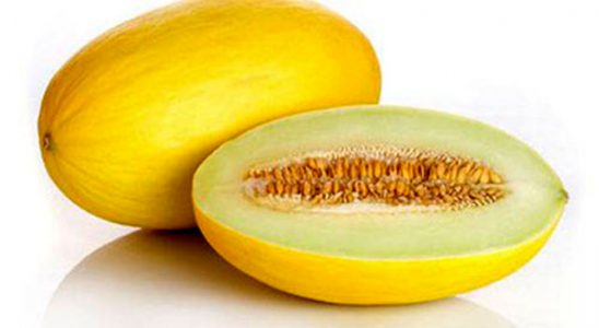 Víme, jak na slaďoučké melouny z vlastní úrody 9