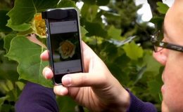 Vaše zahrada v tabletu nebo telefonu 24