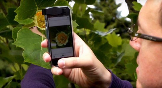 Vaše zahrada v tabletu nebo telefonu 7